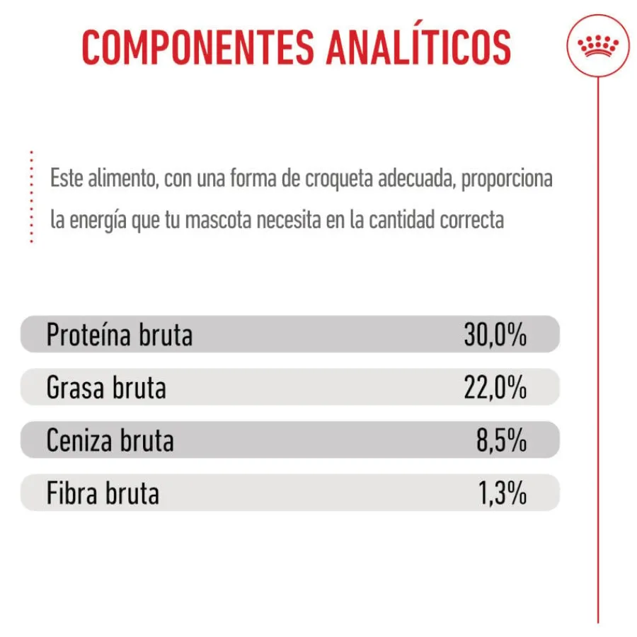 Royal Canin Starter MotheryBaby Mini pienso para perros Online