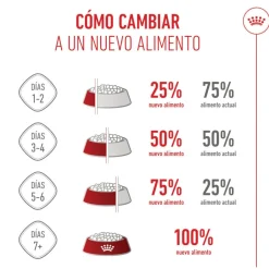 Royal Canin Starter MotheryBaby Mini pienso para perros Online