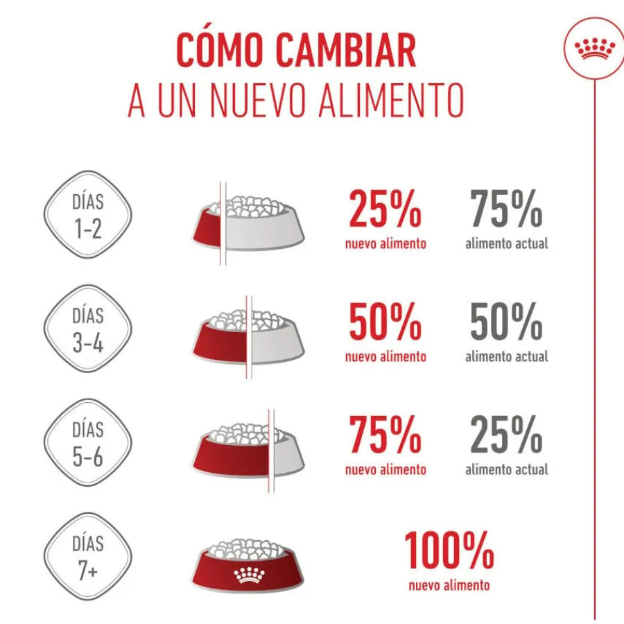 Royal Canin Starter MotheryBaby Mini pienso para perros Online