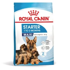 Royal Canin Starter MotheryBaby Maxi pienso para perros Outlet