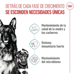 Royal Canin Starter MotheryBaby Maxi pienso para perros Outlet