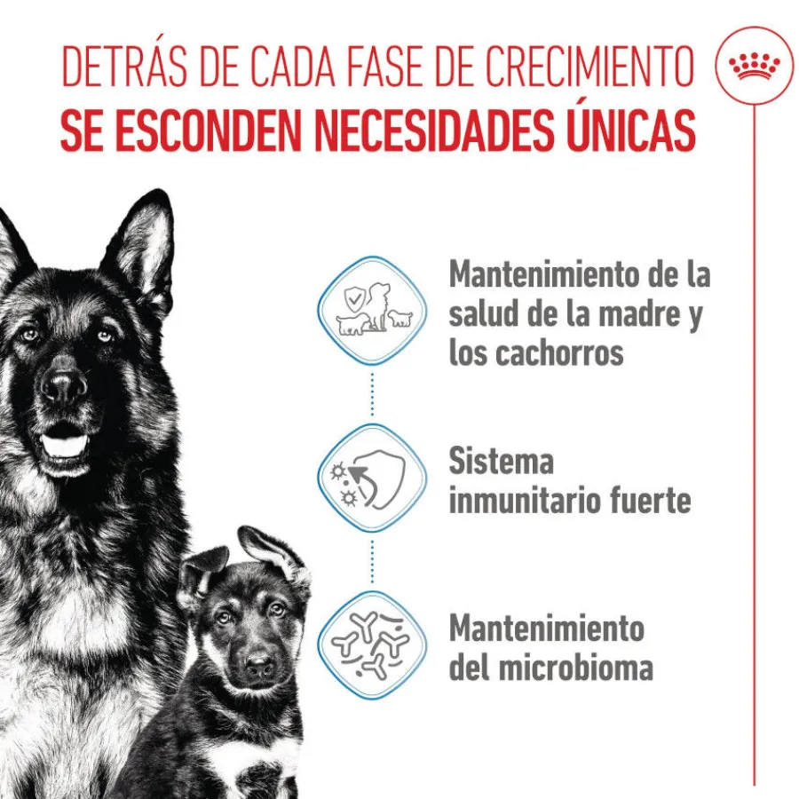 Royal Canin Starter MotheryBaby Maxi pienso para perros Outlet