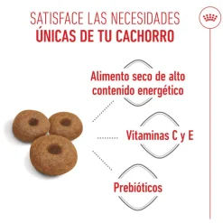 Royal Canin Starter MotheryBaby Maxi pienso para perros Outlet