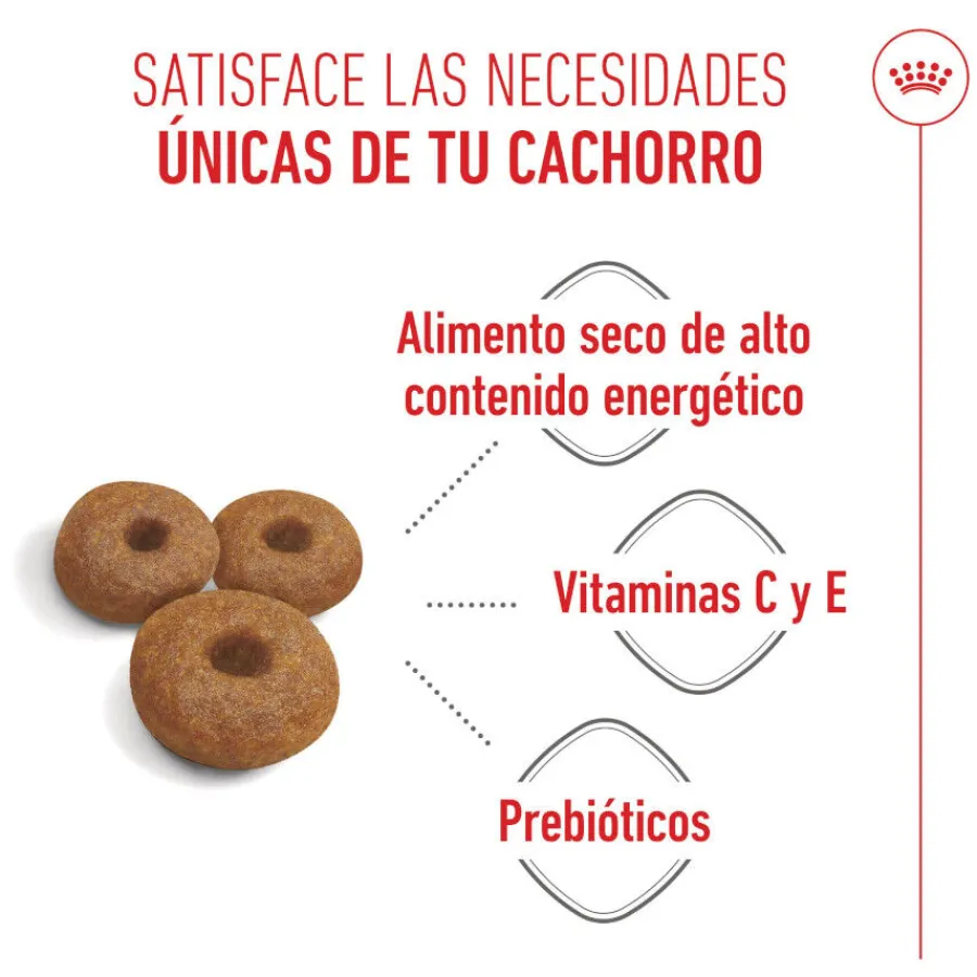 Royal Canin Starter MotheryBaby Maxi pienso para perros Outlet