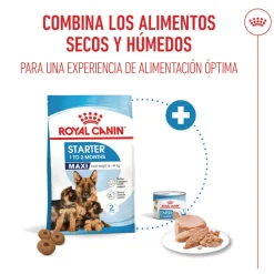 Royal Canin Starter MotheryBaby Maxi pienso para perros Outlet