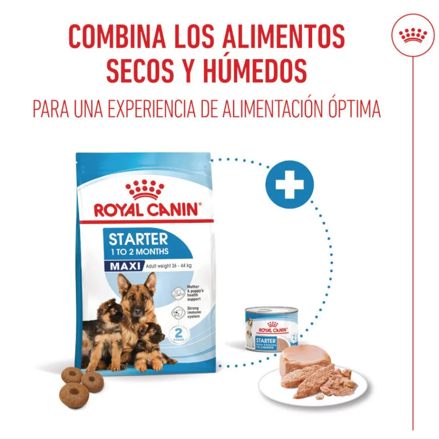 Royal Canin Starter MotheryBaby Maxi pienso para perros Outlet