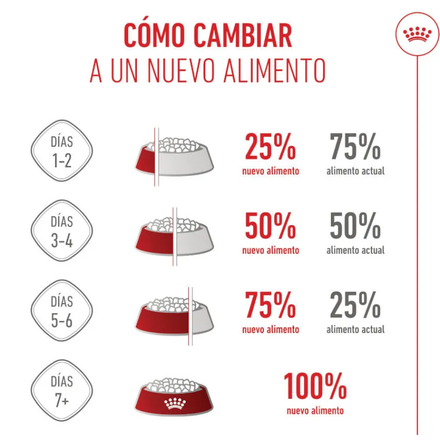 Royal Canin Starter MotheryBaby Maxi pienso para perros Outlet