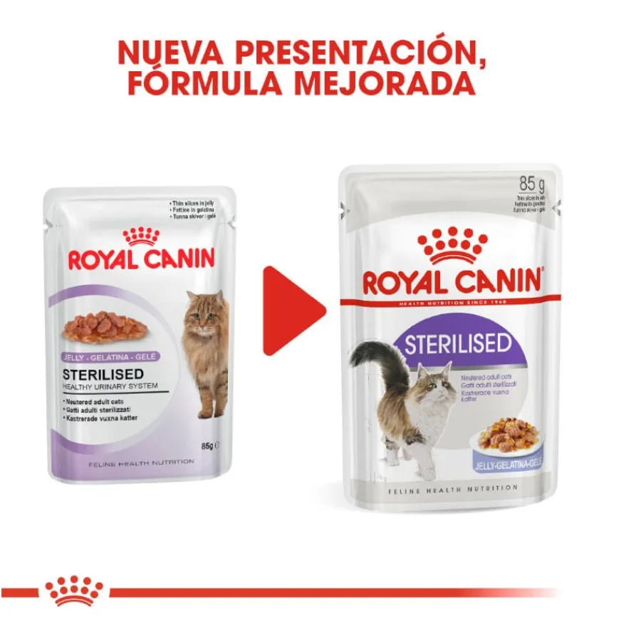 Royal Canin Sterilised gelatina sobres para gato Best