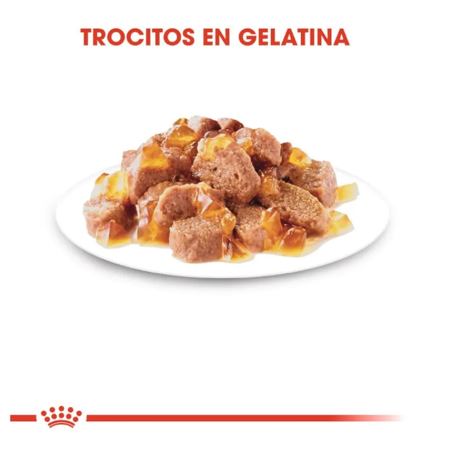 Royal Canin Sterilised gelatina sobres para gato Best