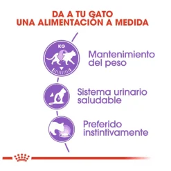 Royal Canin Sterilised gelatina sobres para gato Best
