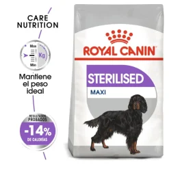 Royal Canin Sterilised Maxi pienso para perros Online