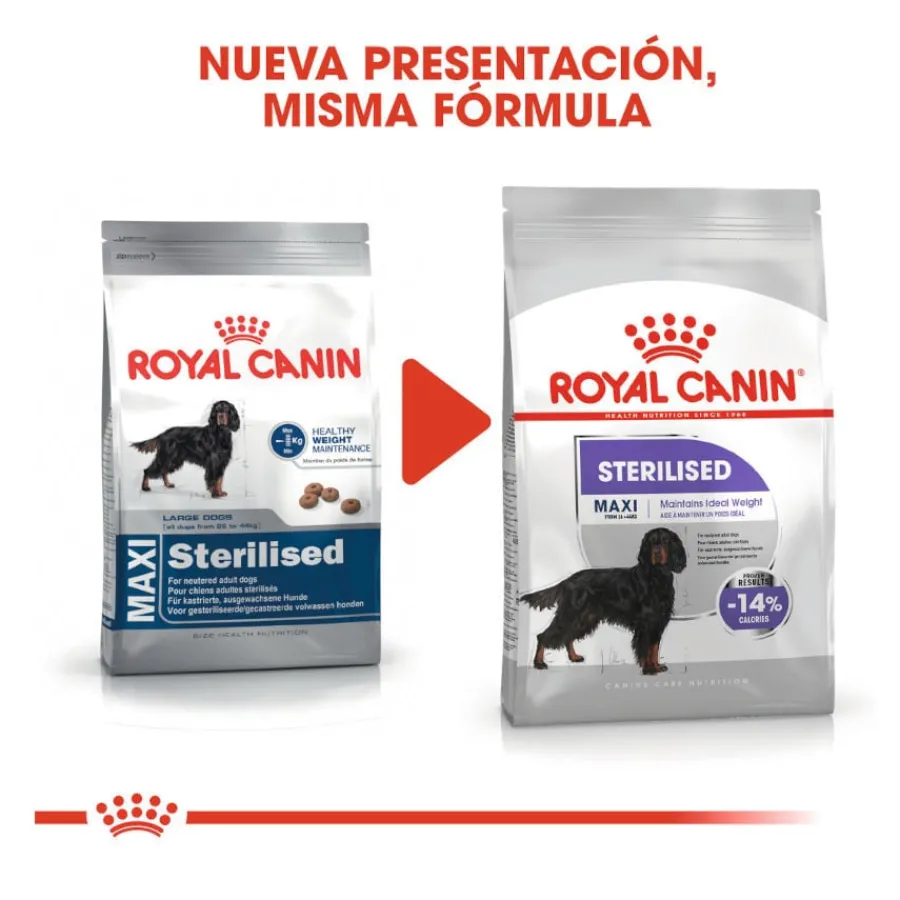 Royal Canin Sterilised Maxi pienso para perros Online