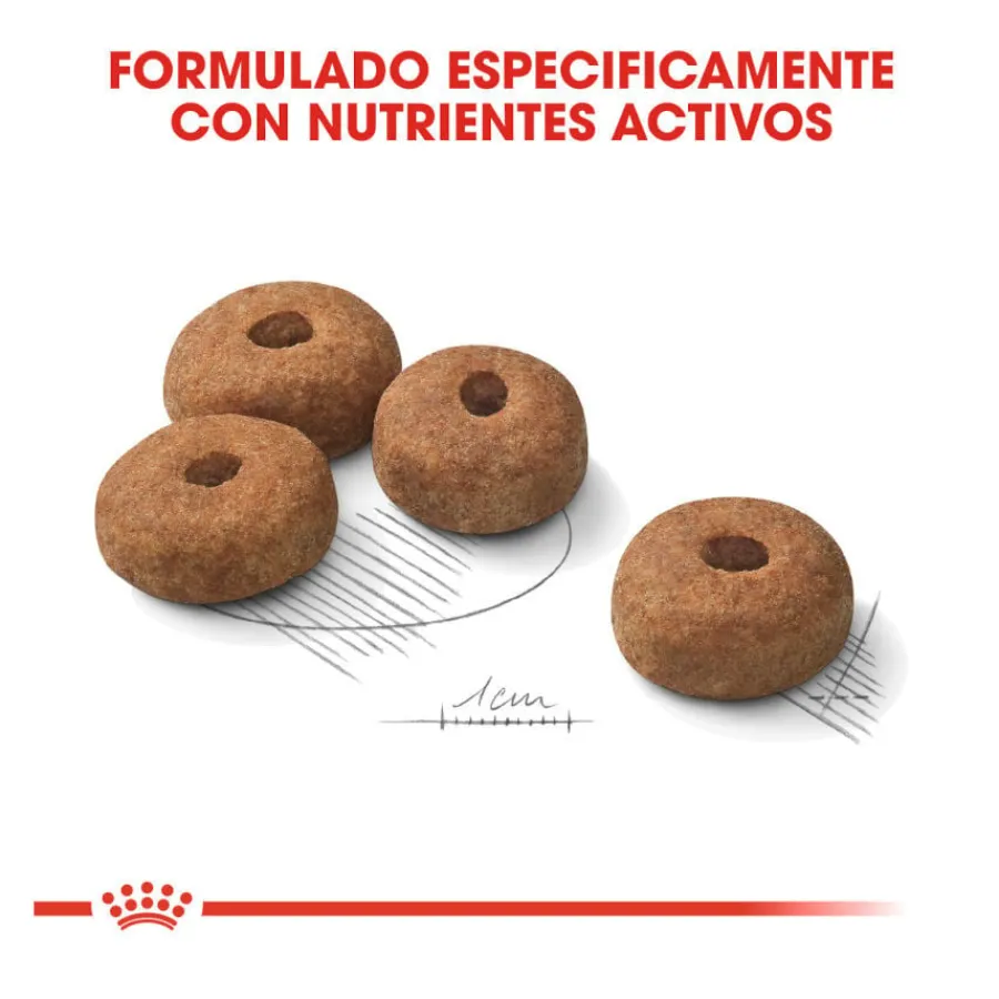 Royal Canin Sterilised Maxi pienso para perros Online