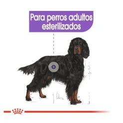 Royal Canin Sterilised Maxi pienso para perros Online