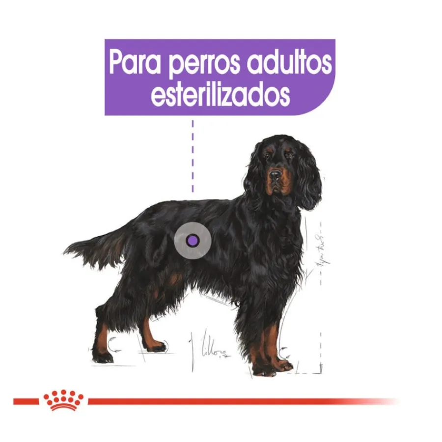 Royal Canin Sterilised Maxi pienso para perros Online