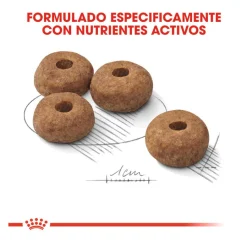 Royal Canin Sterilised Medium pienso para perros Sale