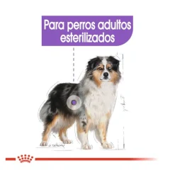Royal Canin Sterilised Medium pienso para perros Sale