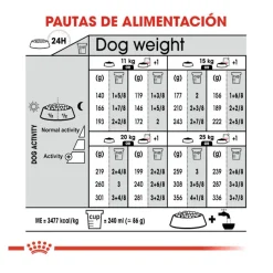 Royal Canin Sterilised Medium pienso para perros Sale