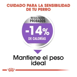 Royal Canin Sterilised Mini pienso para perros New
