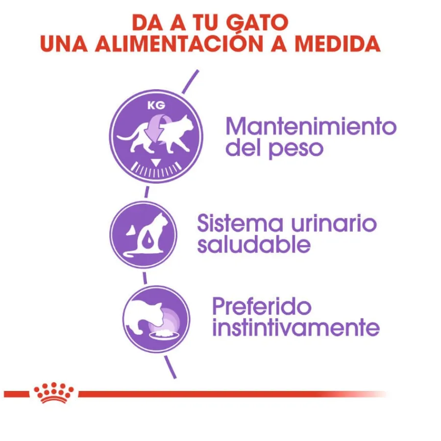 Royal Canin Sterilised Paté sobre para gatos Sale