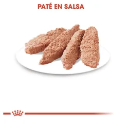 Royal Canin Sterilised Paté sobre para gatos Sale