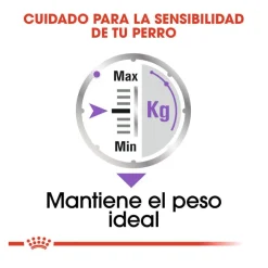 Royal Canin Sterilised Sobres Paté para perros Clearance