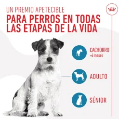 Royal Canin Training Treats Snacks para perros Sale