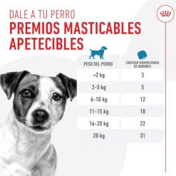 Royal Canin Training Treats Snacks para perros Sale