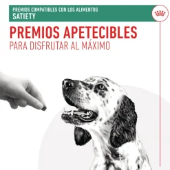 Royal Canin Treats Satiefy Snacks para Perros