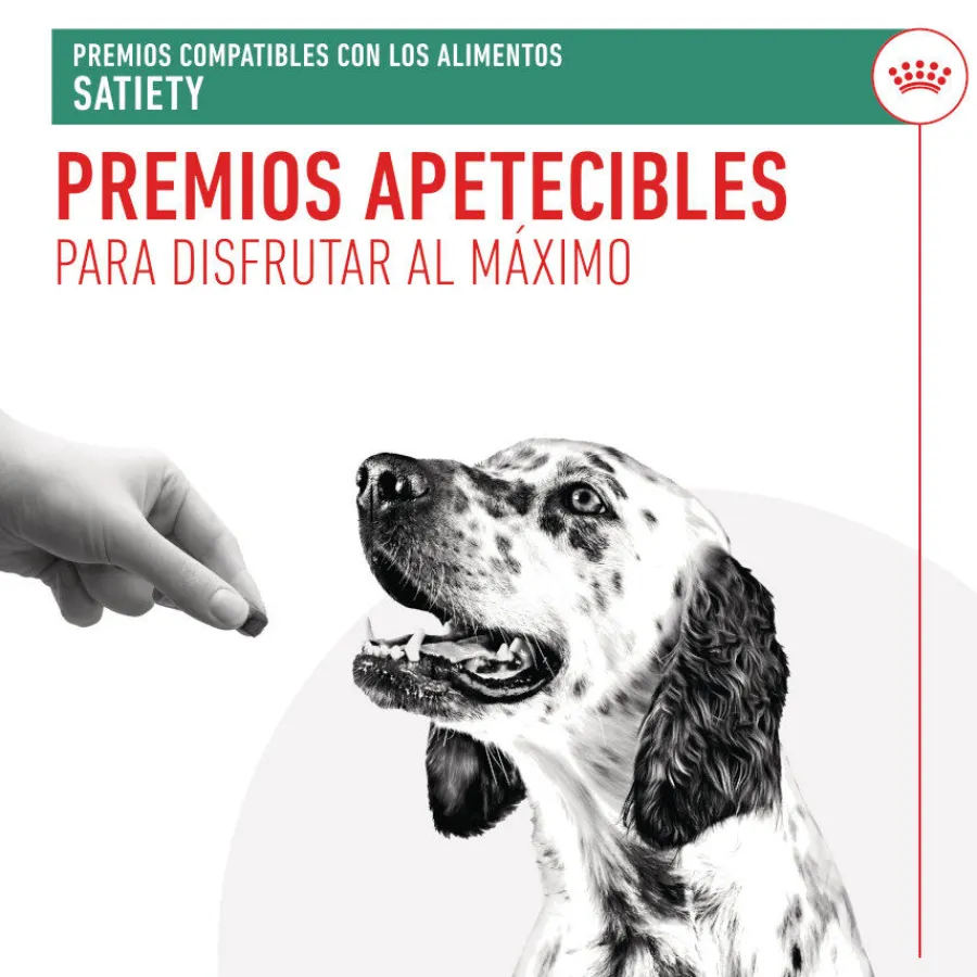 Royal Canin Treats Satiefy Snacks para Perros