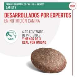 Royal Canin Treats Satiefy Snacks para Perros