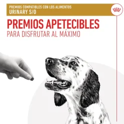 Royal Canin Treats Urinary Snacks para perros Online