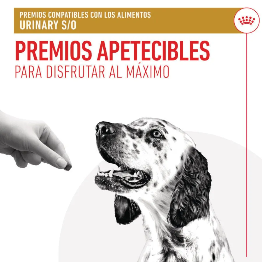 Royal Canin Treats Urinary Snacks para perros Online