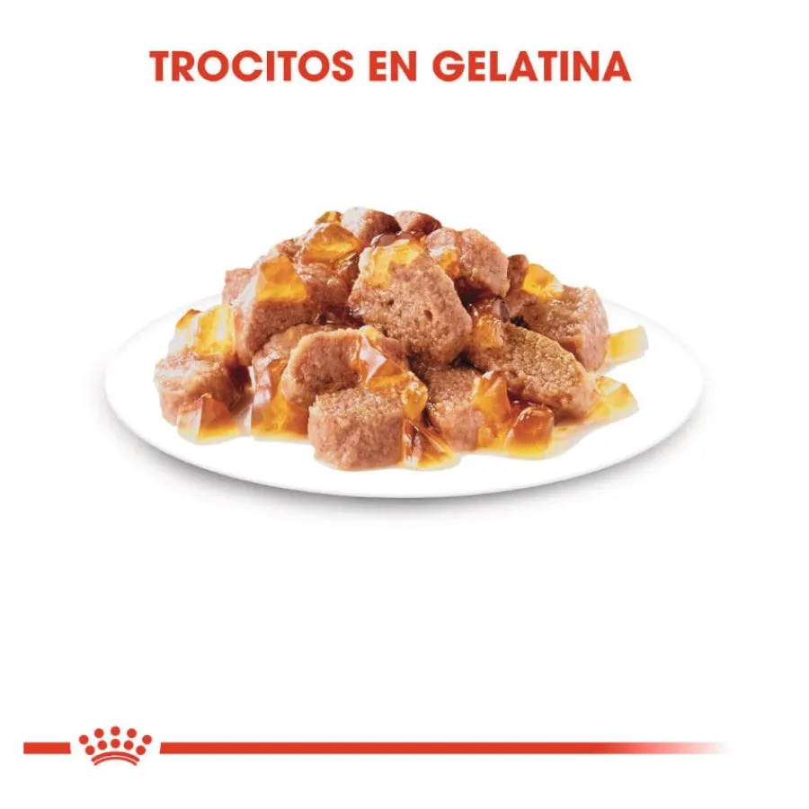 Royal Canin Ultra Light gelatina sobre para gatos Best