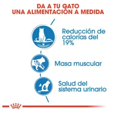 Royal Canin Ultra Light gelatina sobre para gatos Best