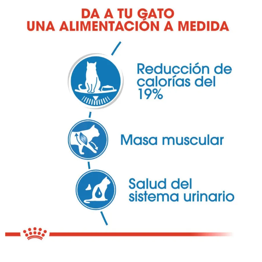 Royal Canin Ultra Light gelatina sobre para gatos Best