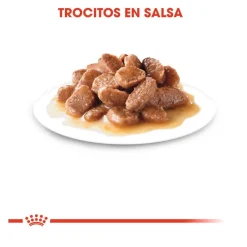 Royal Canin Ultra Light sobres para gatos