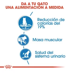 Royal Canin Ultra Light sobres para gatos
