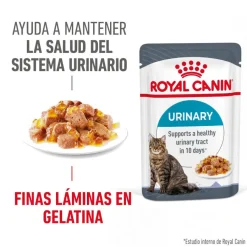Royal Canin Urinary Care Sobre en Gelatina para gatos Clearance