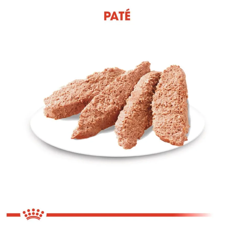 Royal Canin Urinary Care paté sobre para perros Discount