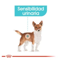 Royal Canin Urinary Care paté sobre para perros Discount