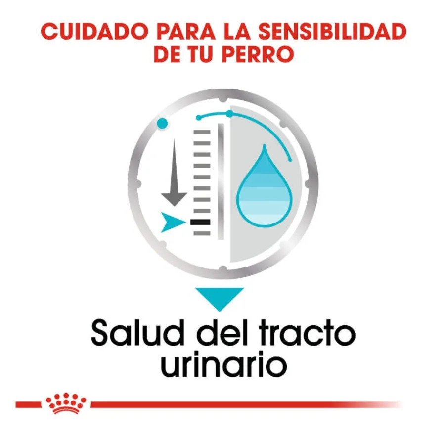 Royal Canin Urinary Care paté sobre para perros Discount