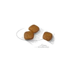 Royal Canin Urinary Care Mini pienso para perros Outlet