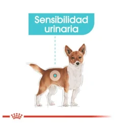 Royal Canin Urinary Care Mini pienso para perros Outlet