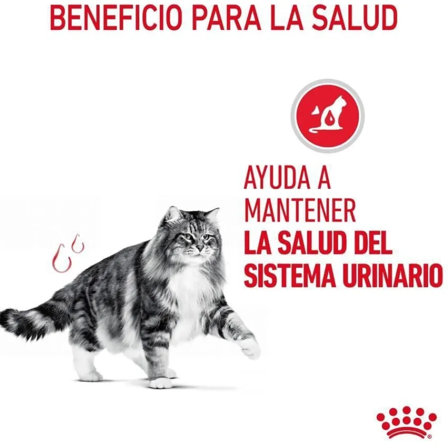 Royal Canin Urinary pienso para gatos Discount