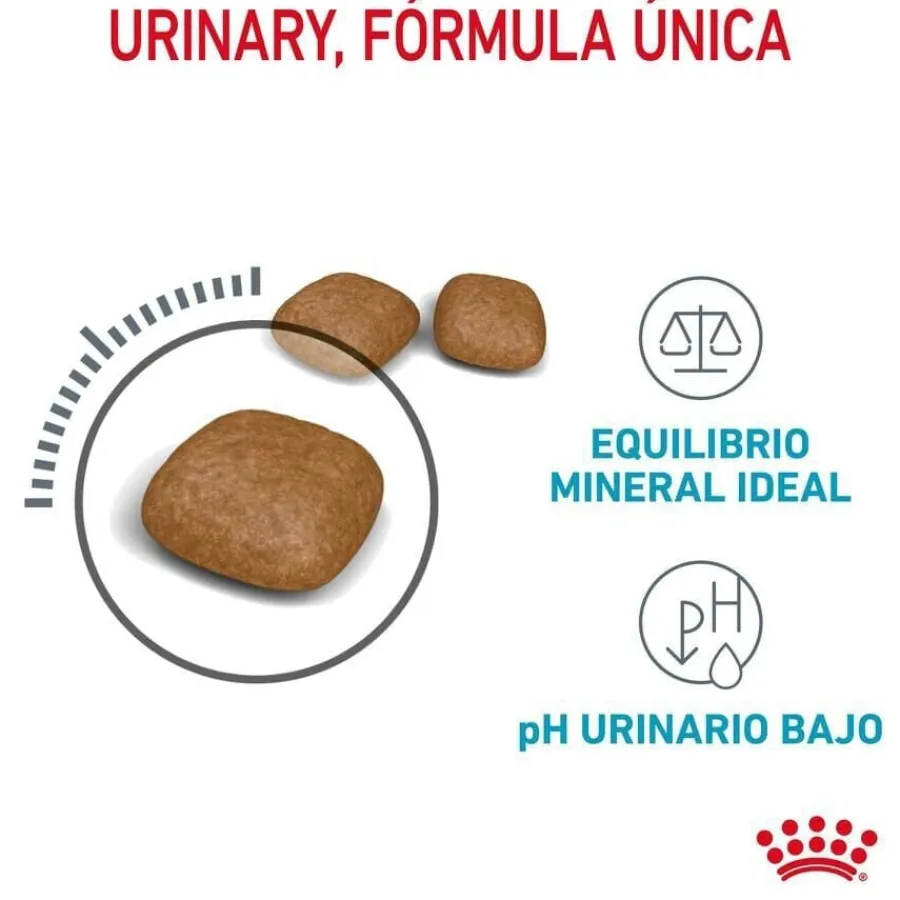 Royal Canin Urinary pienso para gatos Discount