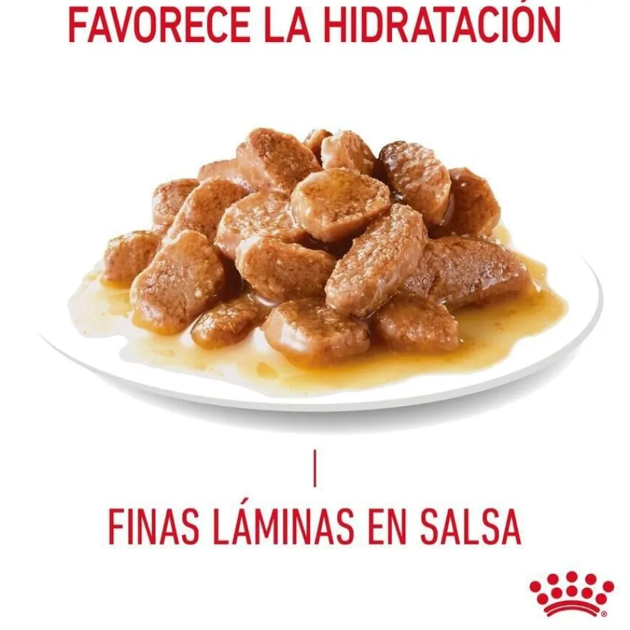 Royal Canin Urinary Sobre en Salsa para gatos Best