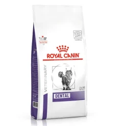 Royal Canin Veterinary Dental pienso para gatos Outlet