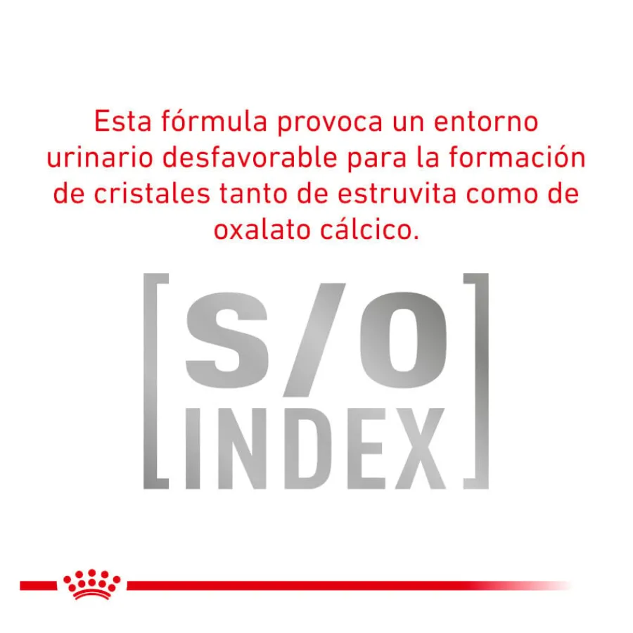 Royal Canin Veterinary Diet Urinary S/O sobres para gato New