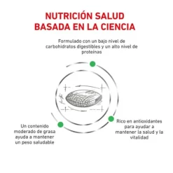 Royal Canin Veterinary Diabetic pienso para gatos